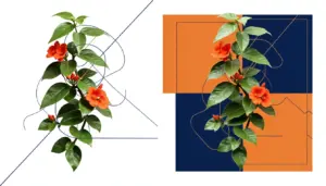 Jade Vermelha Planta: A Trepadeira Que Vai Transformar Seu Jardim