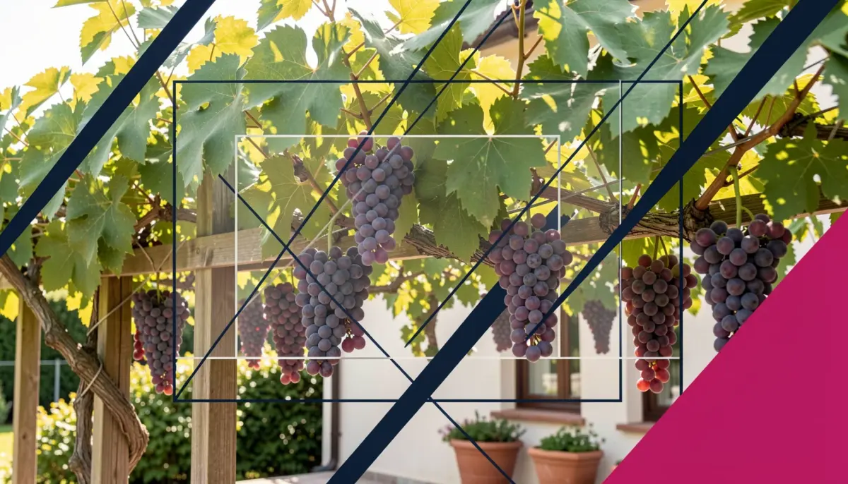 Videira Planta: O Guia Definitivo para Cultivar Uvas em Casa