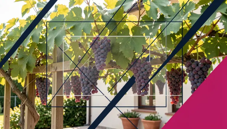 Videira Planta: O Guia Definitivo para Cultivar Uvas em Casa Videira Planta: O Guia Definitivo para Cultivar Uvas em Casa